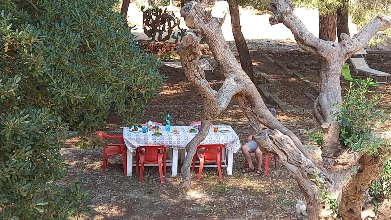 Villa Maria In Puglia Con Pineta Vicino Al Mare Torre Suda Luaran gambar