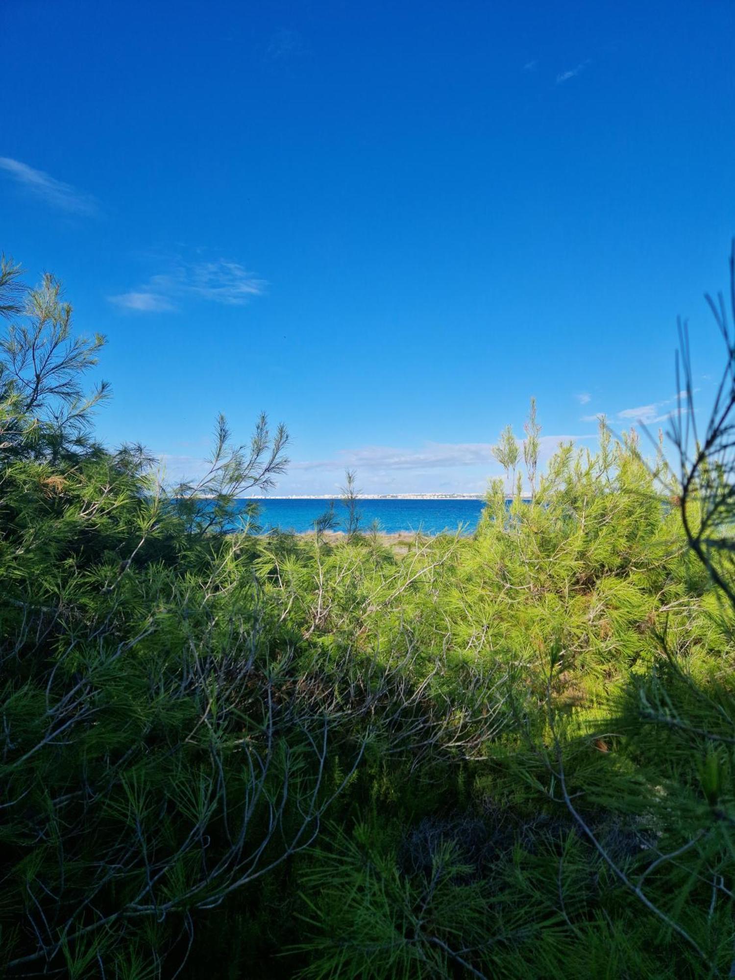 Villa Maria In Puglia Con Pineta Vicino Al Mare Torre Suda Luaran gambar