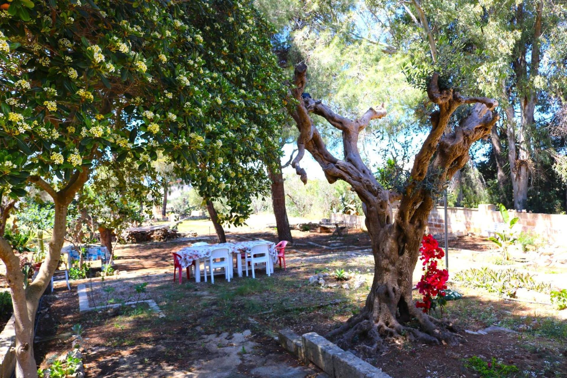 Villa Maria In Puglia Con Pineta Vicino Al Mare Torre Suda Luaran gambar